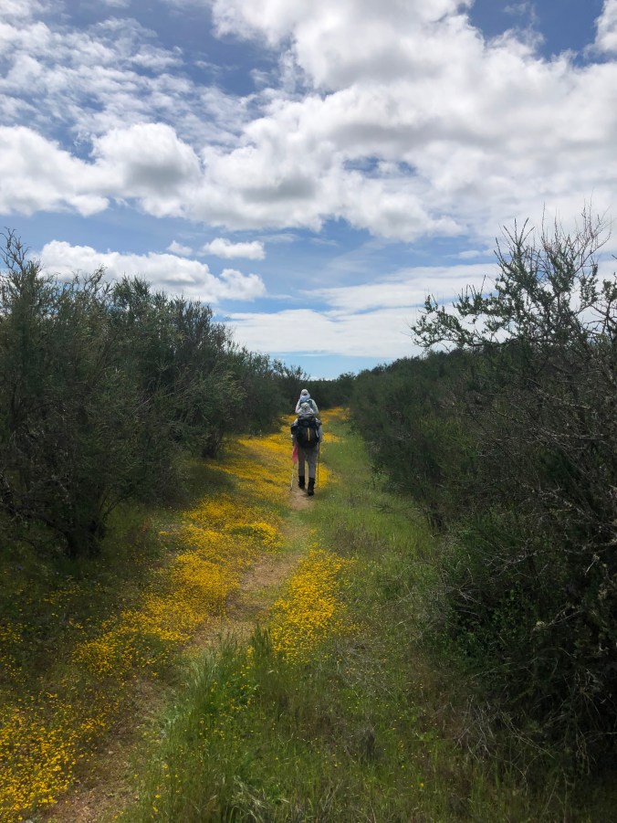 07B1F9E3-AF3B-4295-9D62-3803203BD381