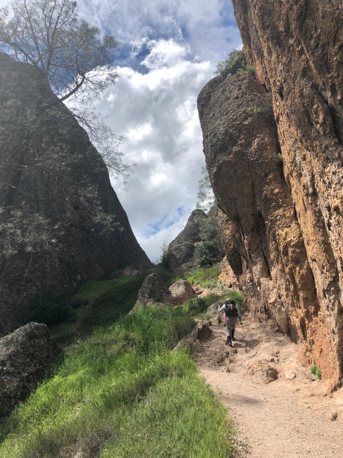 97979E25-05C3-4E4D-ADD6-EACC4B7AA41C