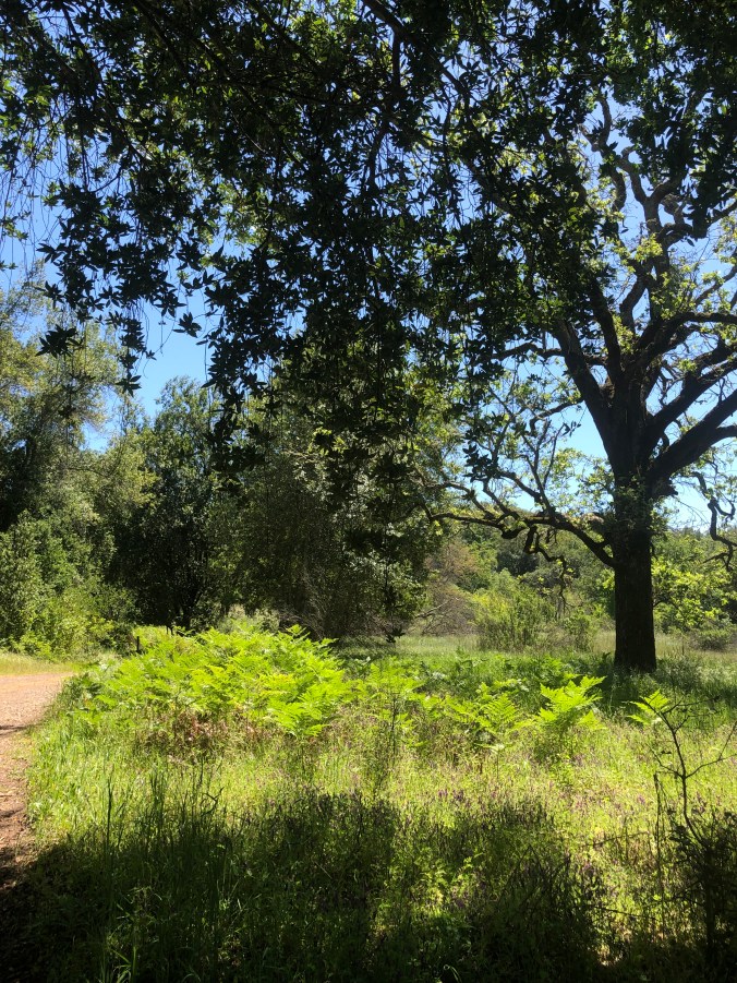 3111FEDC-0832-4846-970F-C478B3209DEB