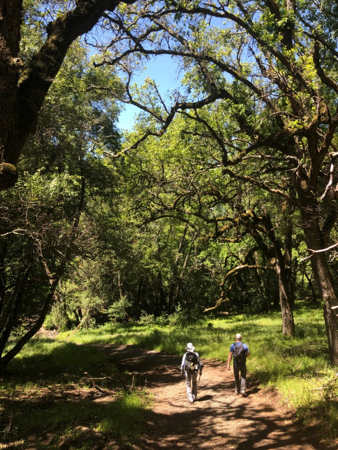 3B173802-07BA-41BB-90F2-E75240C25780