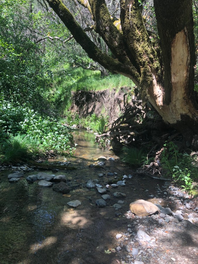 7CD0DCA5-87C8-4CE9-BF78-F3437AD9F3C7