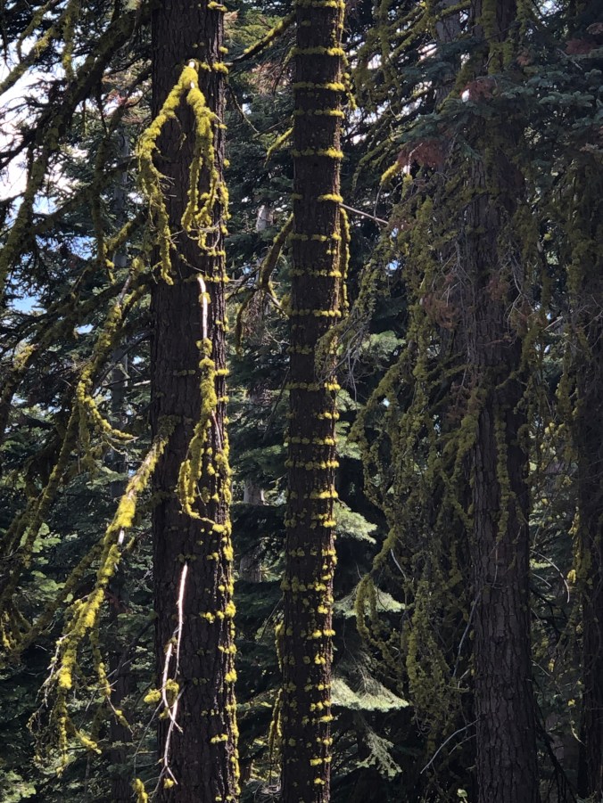 D2463116-4D20-4C8E-A667-E14DEEA6CC88