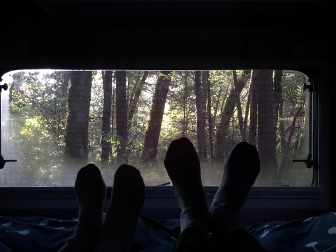 D80EEE6C-A164-49AA-8A7C-67D0CC55940A