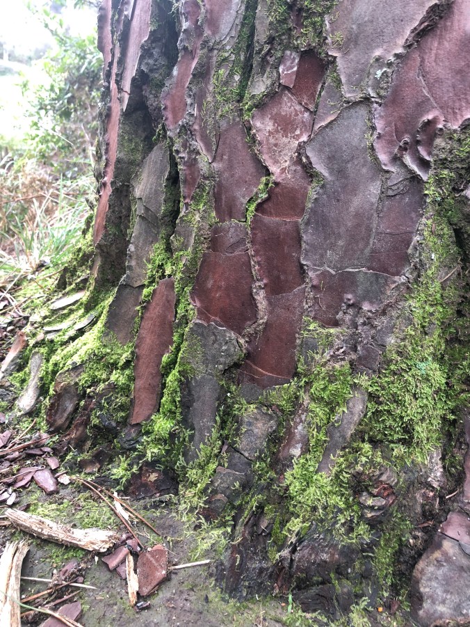 083C4713-F66C-4278-B5C6-ECEC67EB2EDB