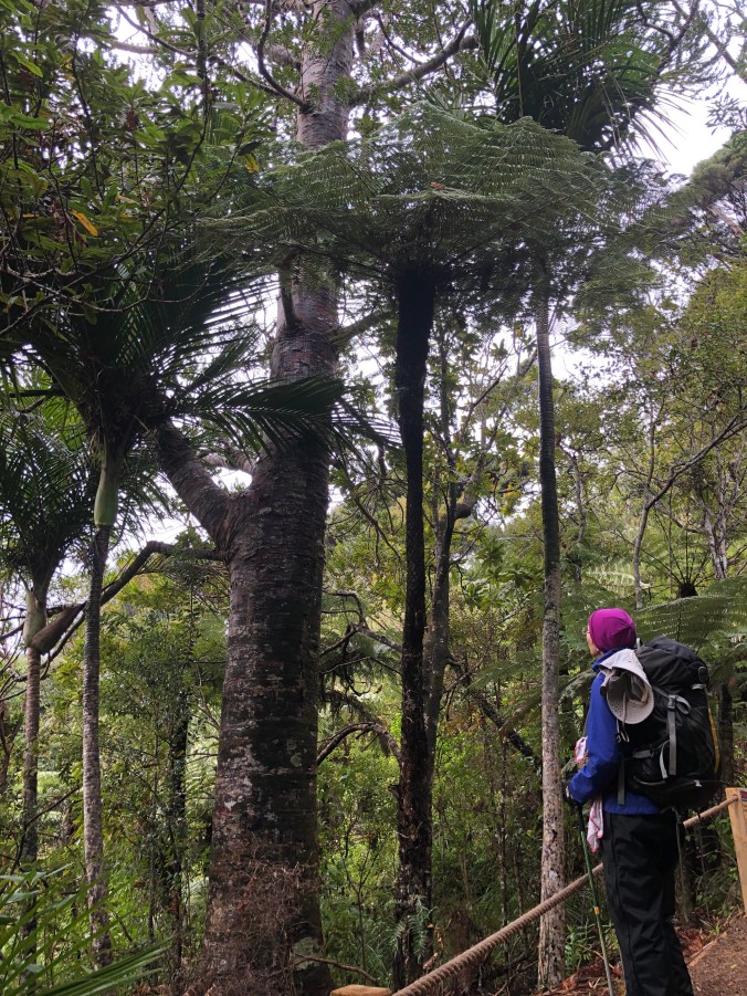 174A36E2-5365-4118-9BF9-205D2897BD97