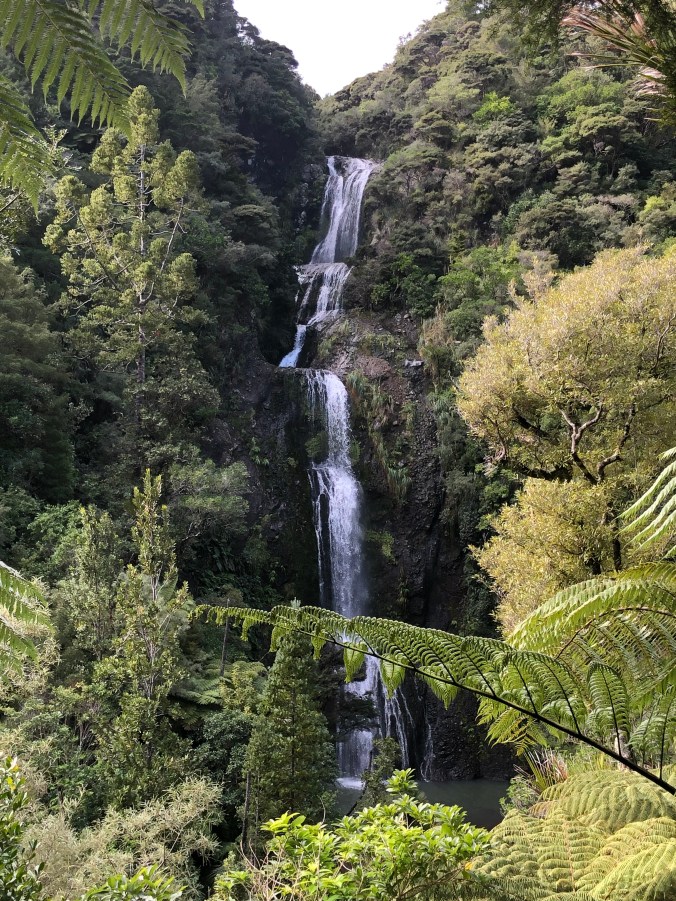 24CF4A03-B53B-448D-9BD5-6F522E9FF119