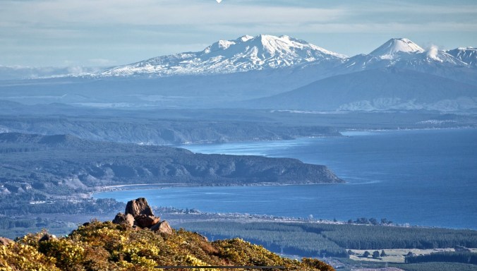 285D92BB-8C61-4565-BC13-2CBE3764DF9A