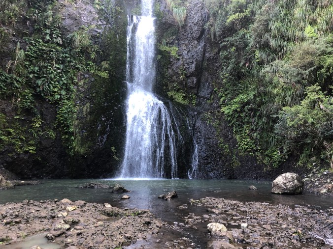 59BE96DF-21F4-4D1B-B5EE-A50E9BFB6FC9