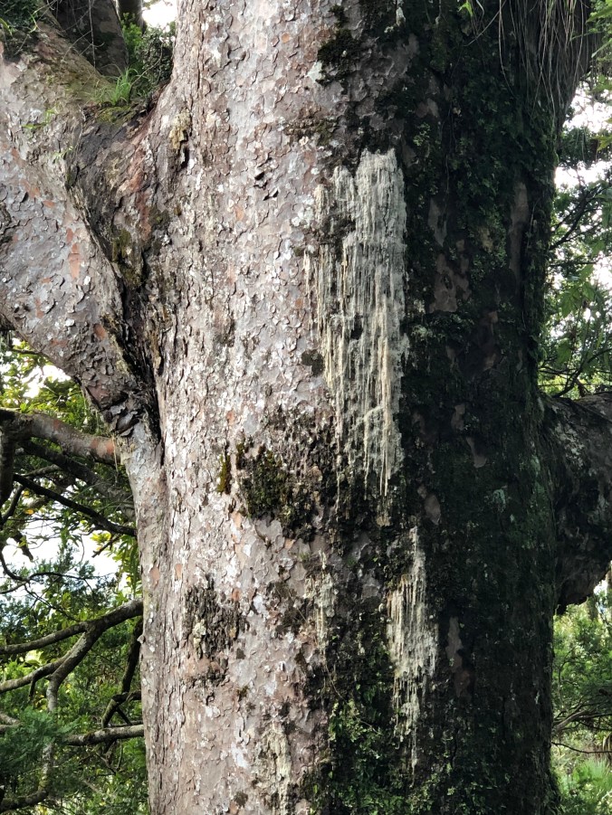 9291290E-9EBF-4677-A926-59915E3BED2B