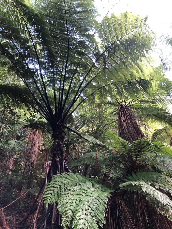 94BA79A2-2BEB-4CB5-AEA0-200C32364427