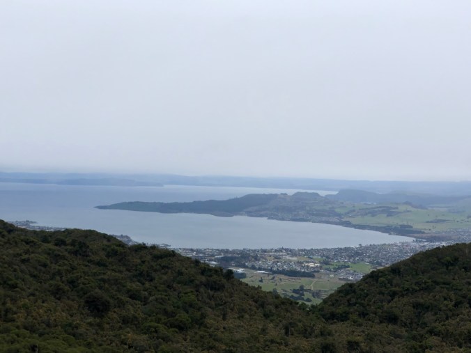 A0881BE1-C994-4051-903E-17F3CA74EC40