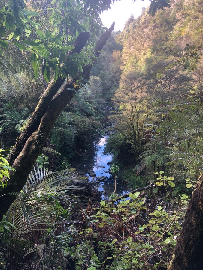 A354E9C1-3805-49F6-87EE-3D7D2B78E366