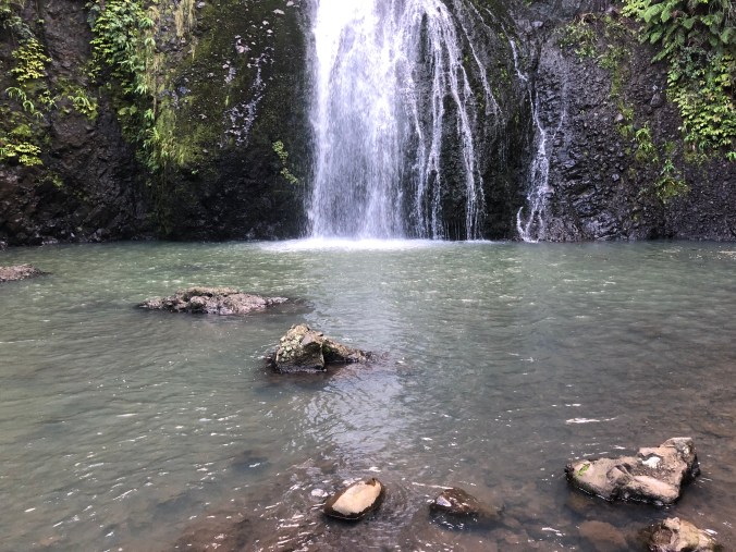 C6844826-1A26-40DB-BCB5-7DC76CD93644