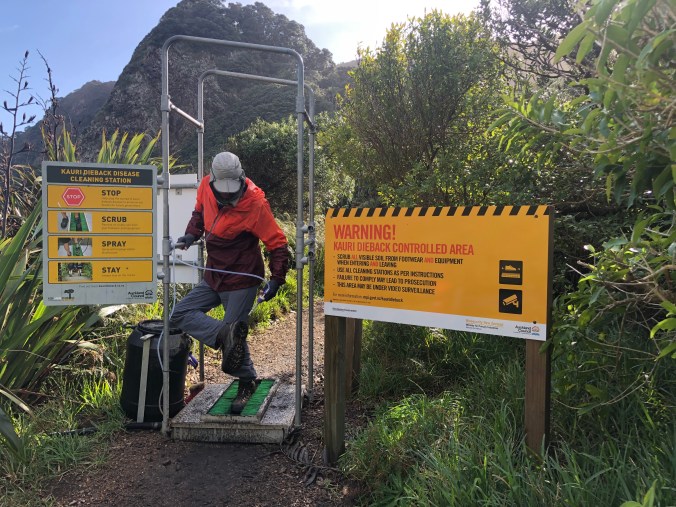 F70591B1-7997-4CDC-8789-13269396A0B5