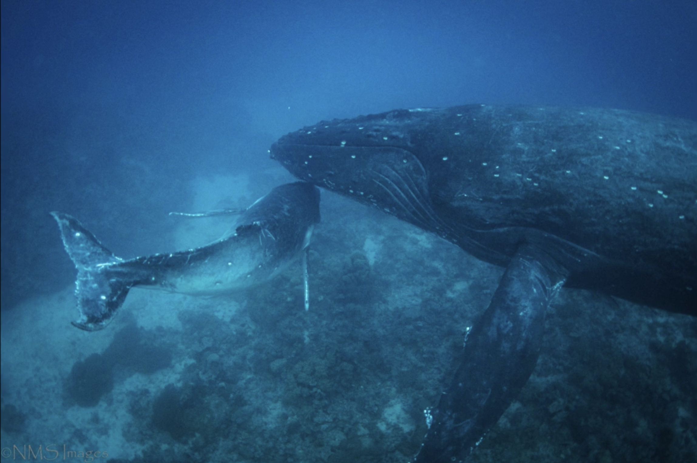 003EF80E-FBA0-4D83-BF1C-33010053915B