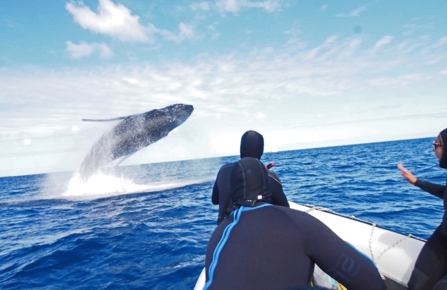 B2FC5D39-B7AD-4054-A8F4-24B3DEB69A46