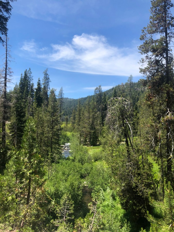 031F63B6-573C-4C62-959F-020BFAC754ED