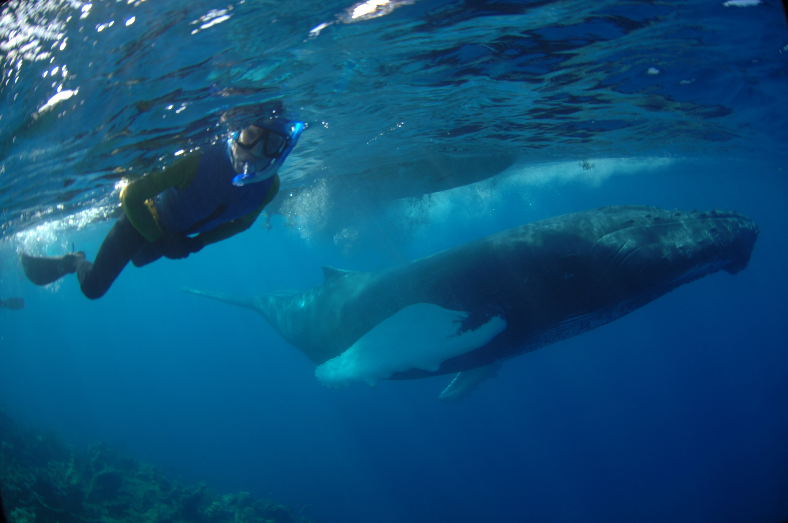 2EF8F0C3-AF8E-48C9-A234-6C4EA9A420BF