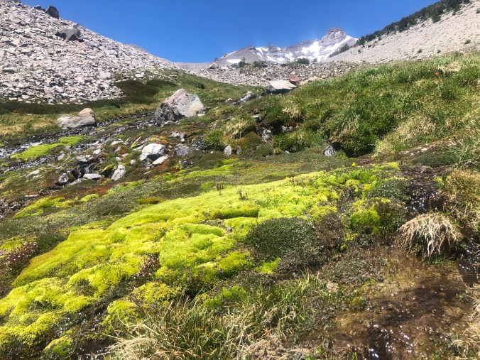 C4FB62F2-FD6C-48B8-AFD9-2788C7A2F839