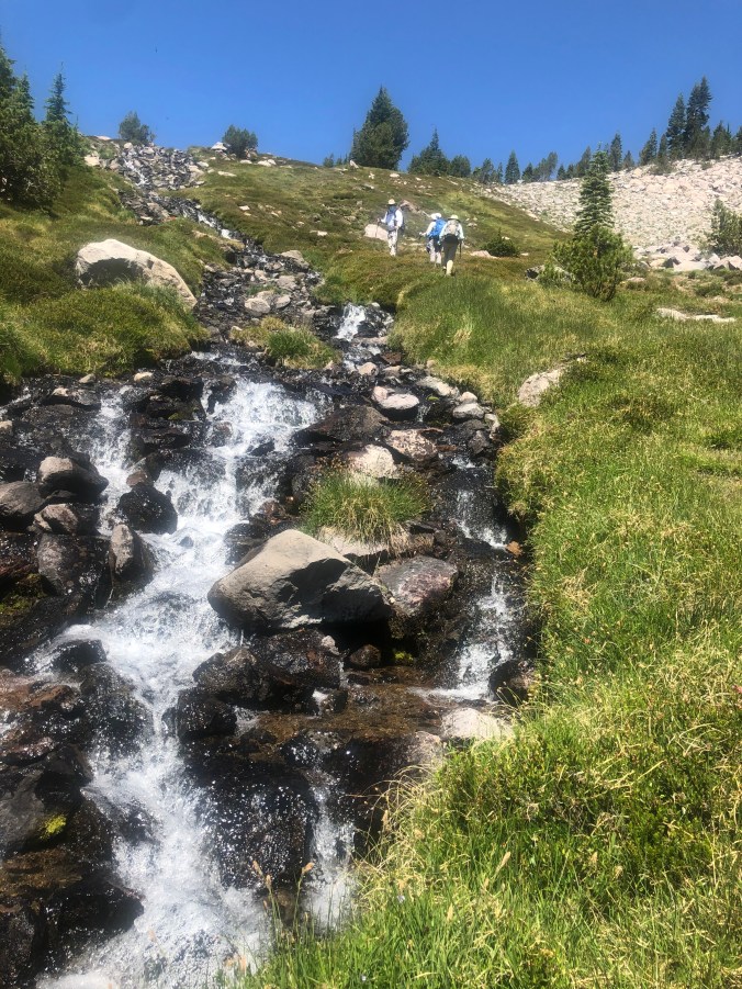 C6854B9B-0BD3-4D83-A0E3-BDE39B561944